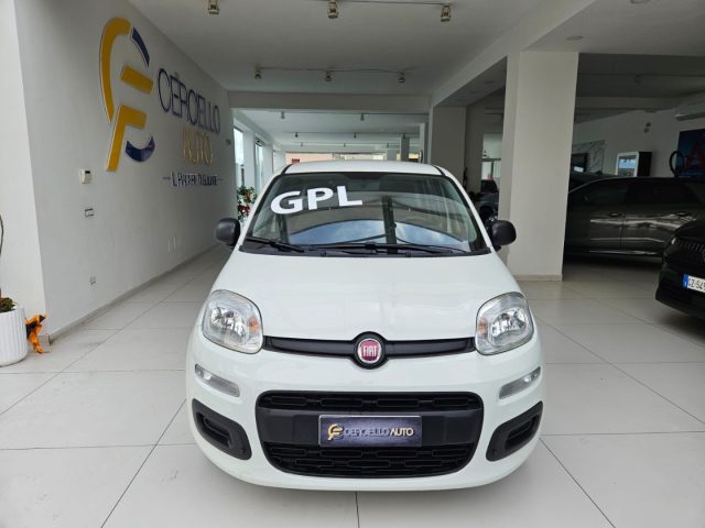 FIAT Panda Bianco metallizzato