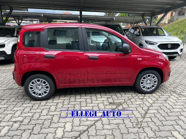 FIAT Panda Rosso pastello
