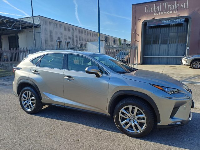 LEXUS NX 300 Antracite perlato