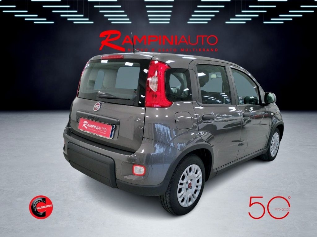 FIAT Panda 1.0 FireFly Hybrid Km 34.000 Pronta Consegna - 7