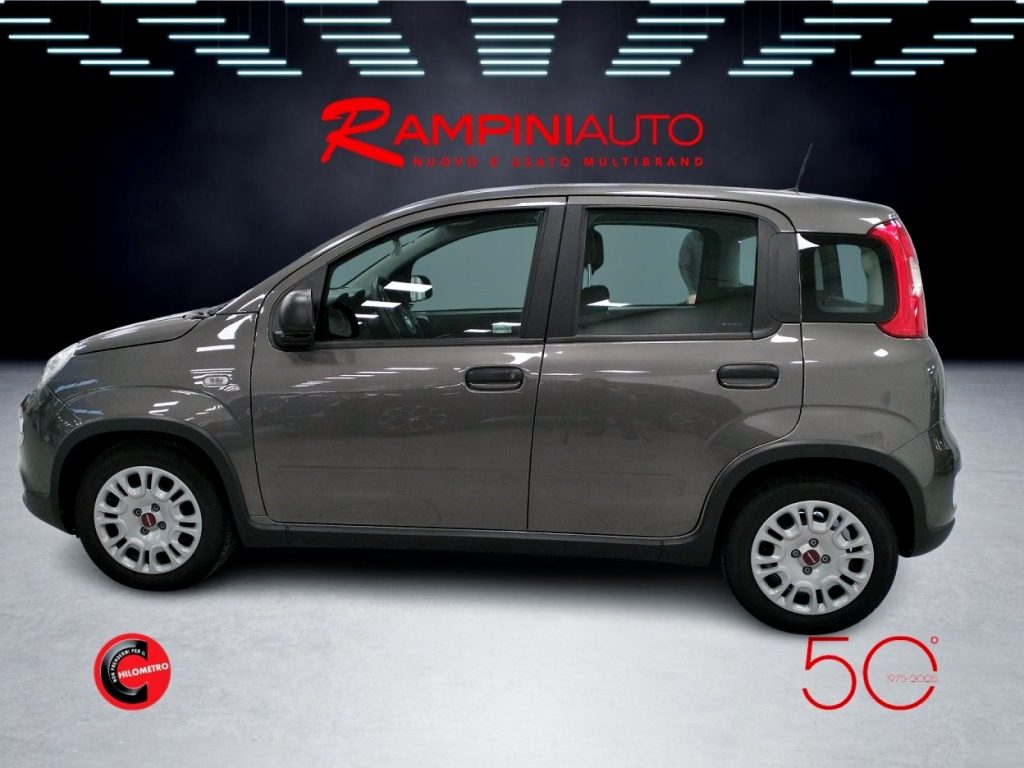 FIAT Panda 1.0 FireFly Hybrid Km 34.000 Pronta Consegna - 11