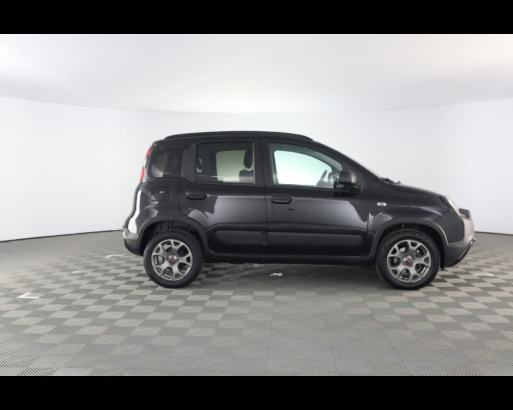 FIAT Panda 1.0 firefly hybrid City Cross s&s 70cv 5p.ti - 6