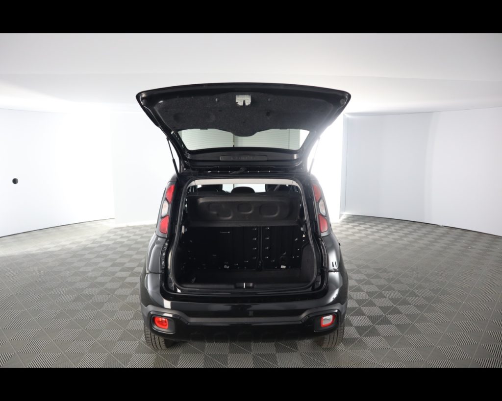 FIAT Panda 1.0 firefly hybrid City Cross s&s 70cv 5p.ti - 19