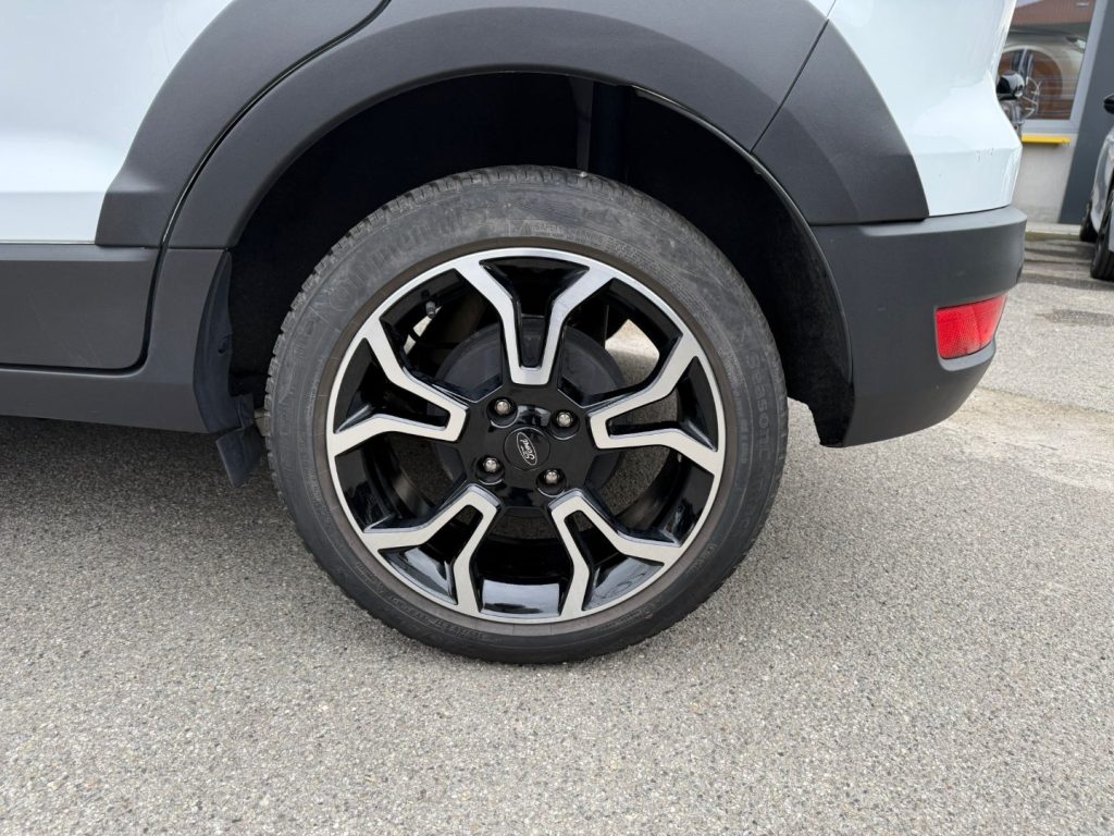 FORD EcoSport 1.0 EcoBoost 125 CV Start&Stop Active - 11