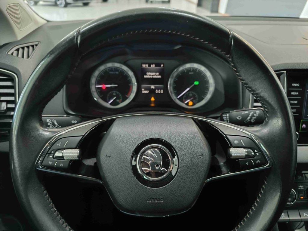 SKODA Karoq 2.0 TDI EVO SCR 115 CV DSG Executive - 17