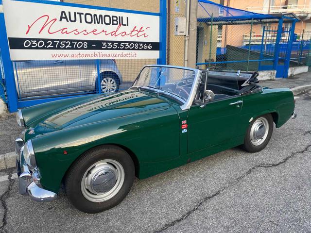 AUSTIN Healey VERDE INGLESE pastello