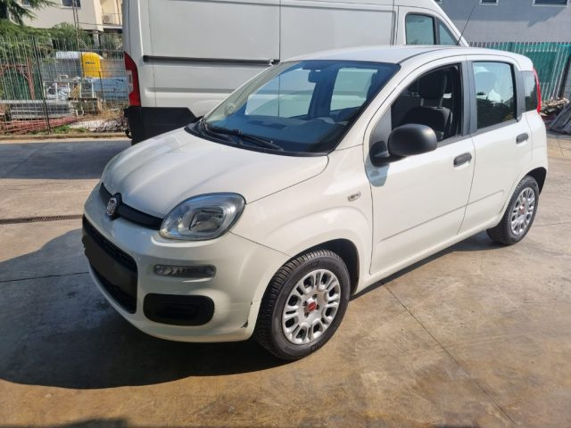 FIAT Panda Bianco pastello