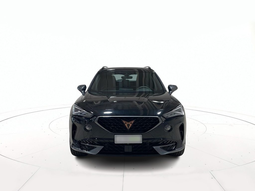 CUPRA Formentor 2.0 tdi 4drive 150cv dsg - 2