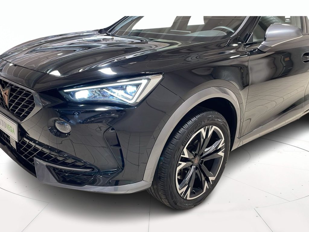 CUPRA Formentor 2.0 tdi 4drive 150cv dsg - 19