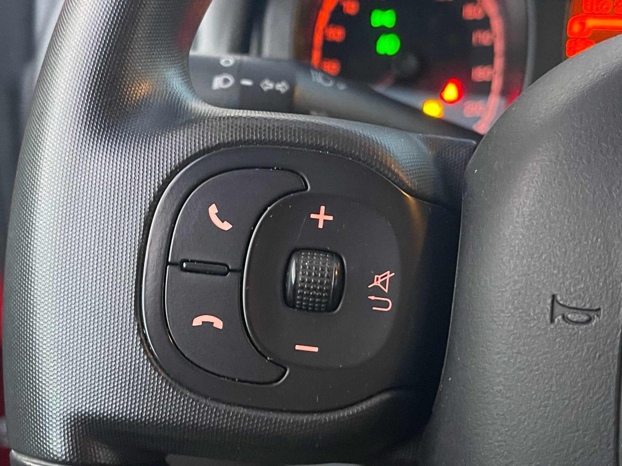 FIAT Panda Cross 1.0 FireFly S&S Hybrid - 22