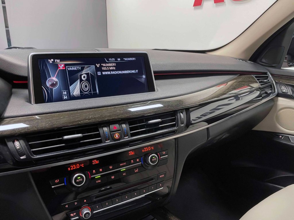 BMW X5 XDRIVE25d BUSINESS 218CV AUTO - 19