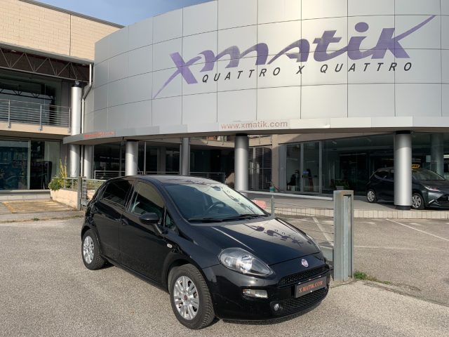 FIAT Punto Nero pastello