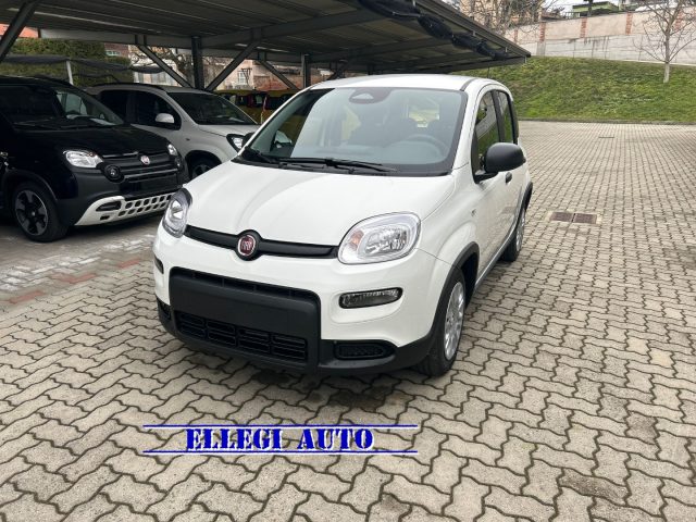 FIAT Panda Bianco extraserie pastello