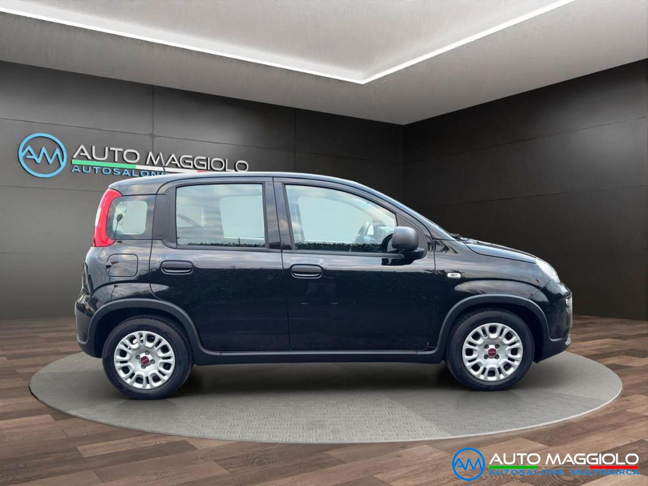 FIAT Panda 1.0 FireFly S&S Hybrid 70 CV PREZZO REALE - 4