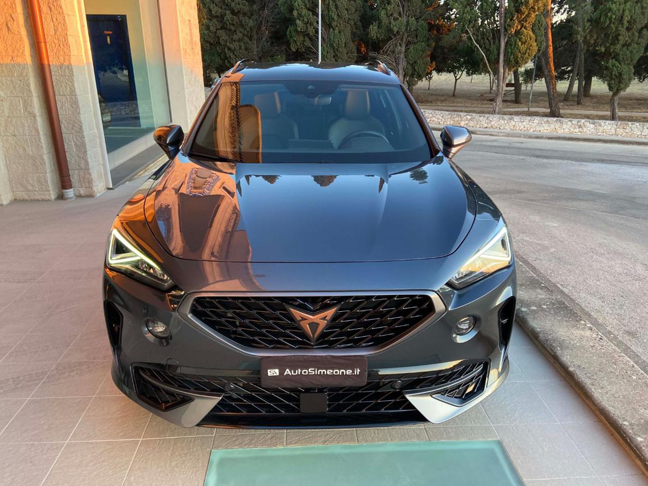 CUPRA Formentor 2.0 TDI 150 CV 4Drive DSG - 2