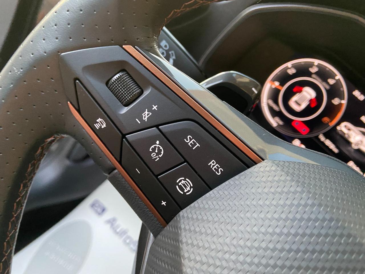 CUPRA Formentor 2.0 TDI 150 CV 4Drive DSG - 23