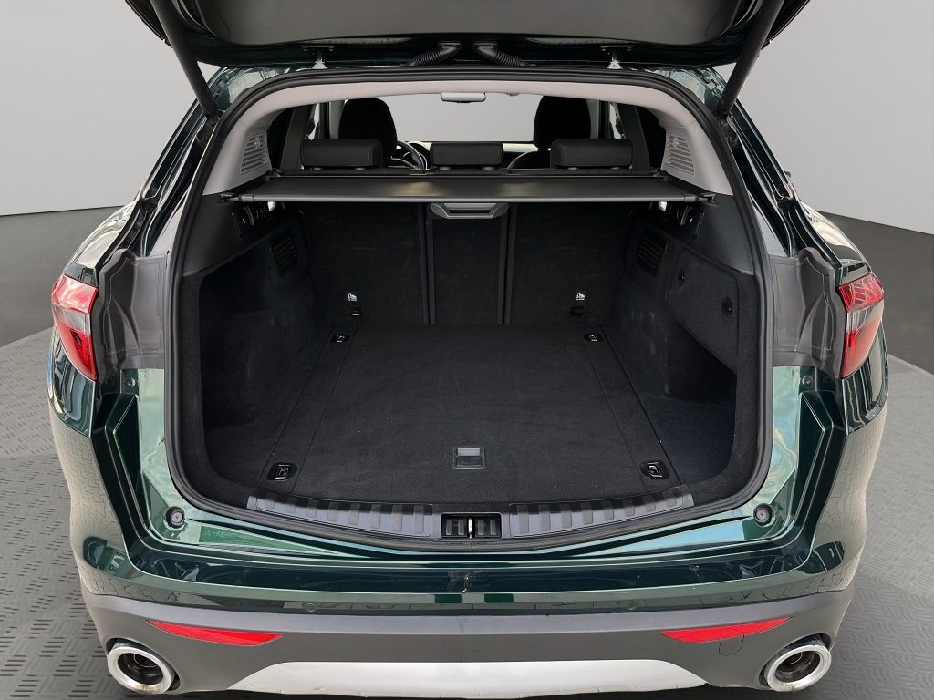 ALFA ROMEO Stelvio 2.2 160CV AT8 RWD AUTOMATICO - 15