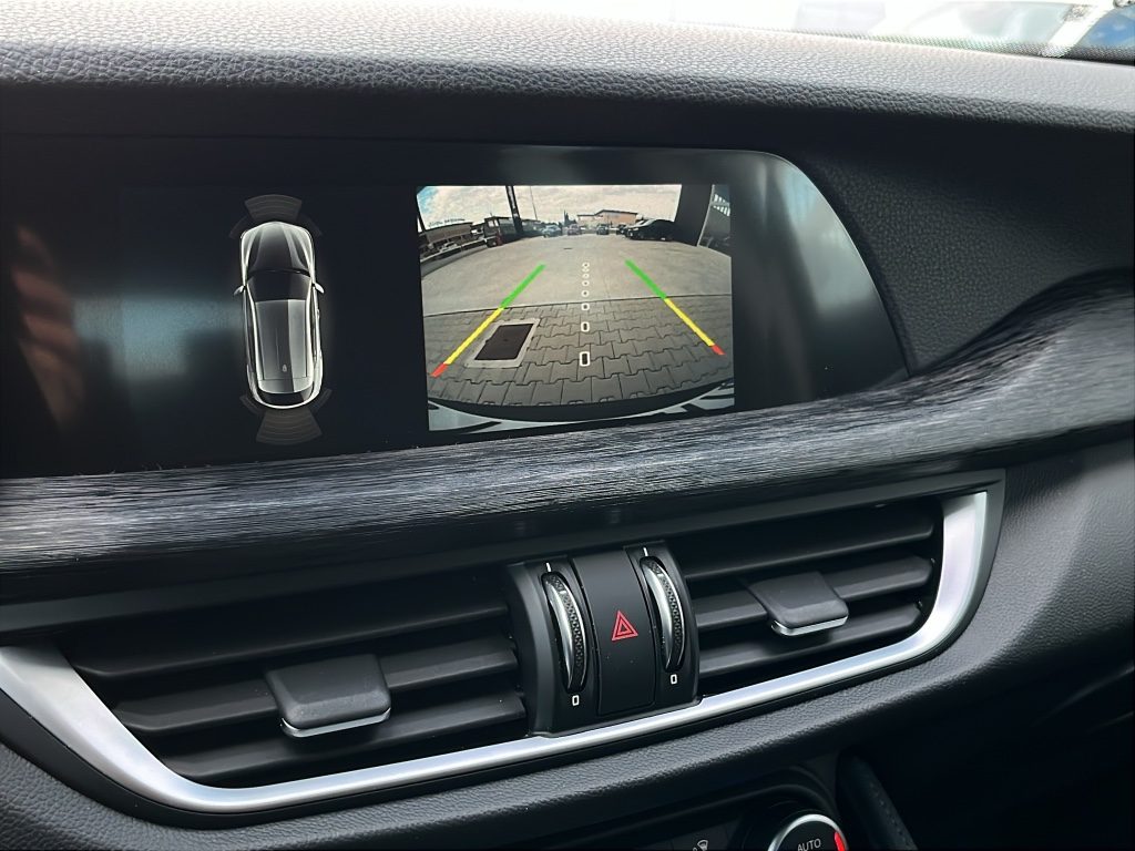 ALFA ROMEO Stelvio 2.2 160CV AT8 RWD AUTOMATICO - 16