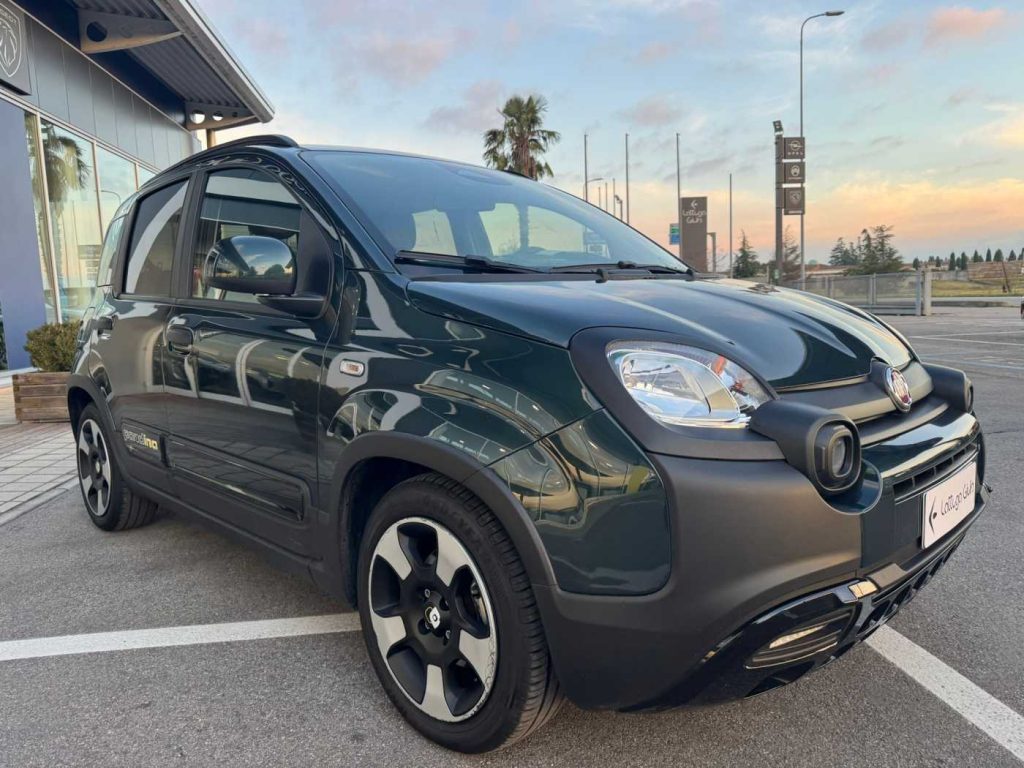 FIAT Panda 1.0 FireFly S&S Hybrid - 4