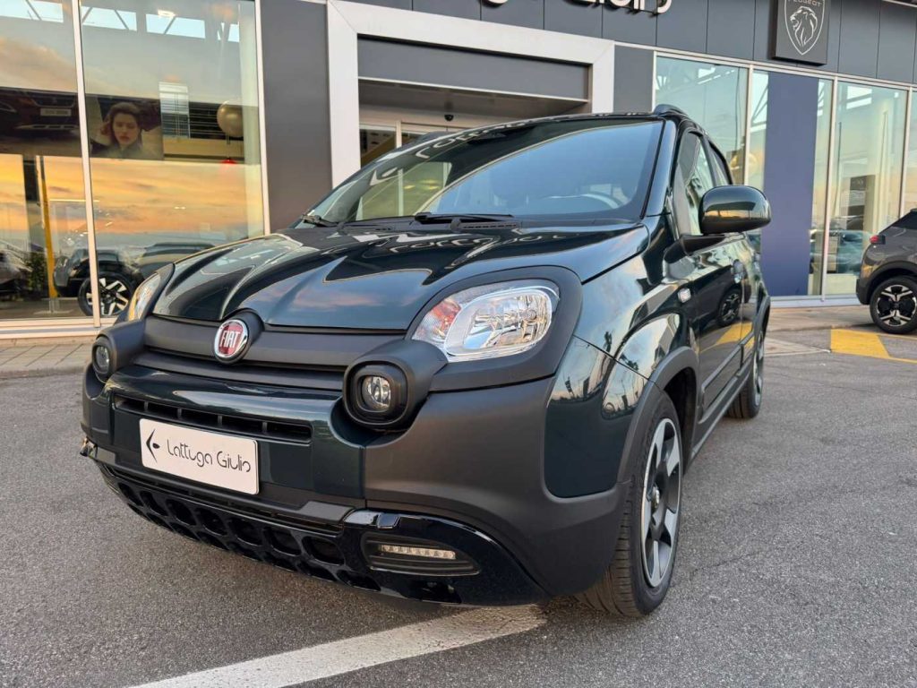 FIAT Panda 1.0 FireFly S&S Hybrid - 2
