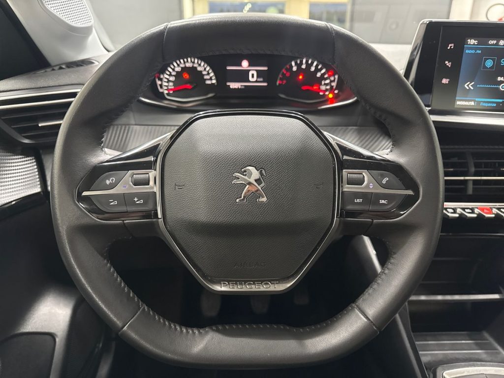 PEUGEOT 208 BlueHDi 100 Stop&Start 5 porte Active Pack - 18