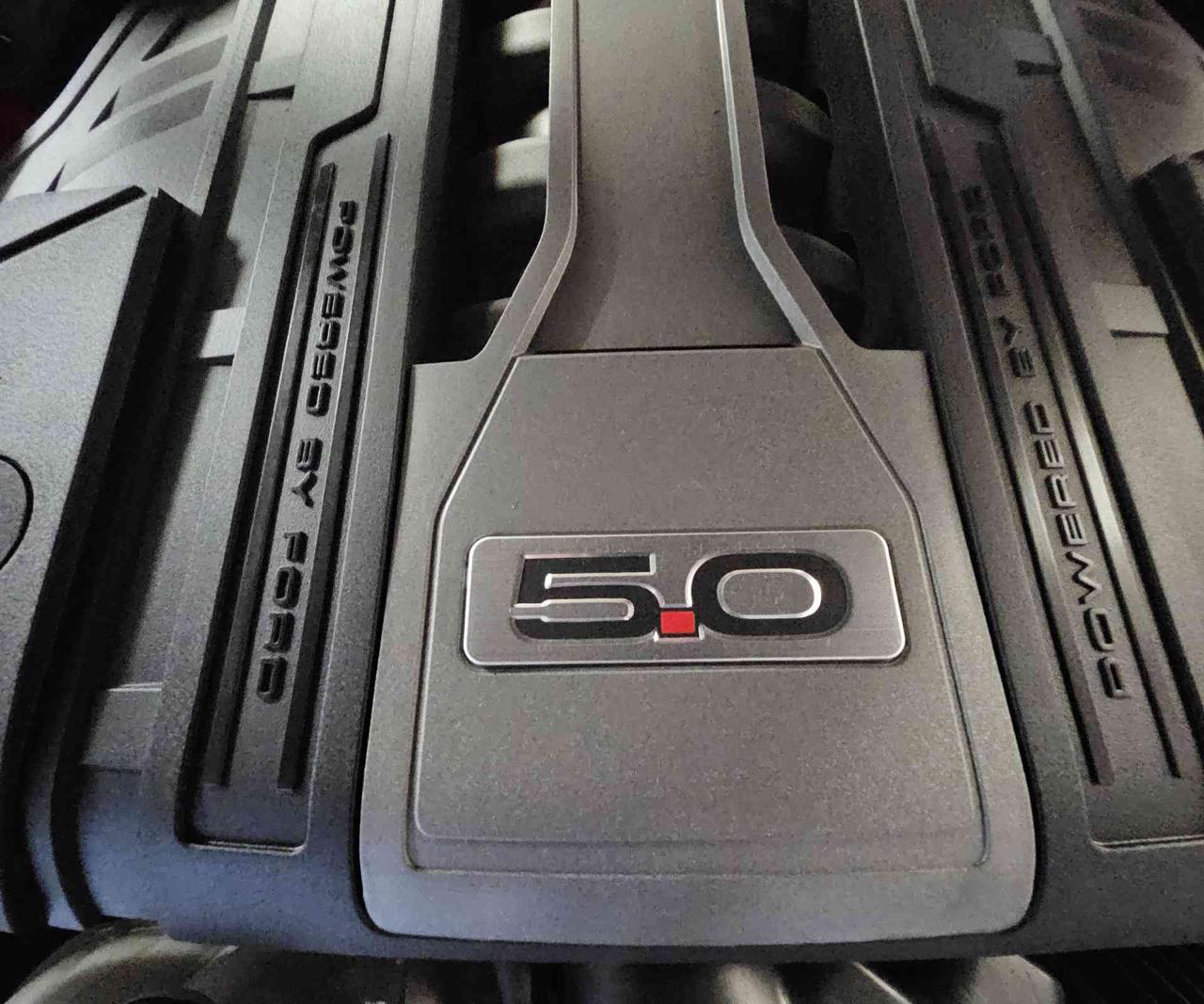 FORD Mustang Fastback 5.0 V8 TiVCT GT 55 ANNIVERSARIO -MANUALE- - 21