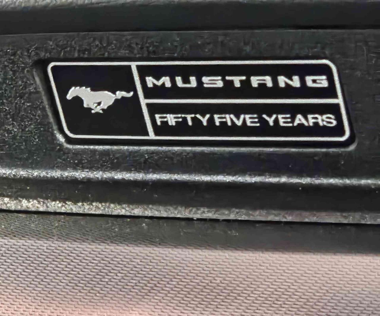 FORD Mustang Fastback 5.0 V8 TiVCT GT 55 ANNIVERSARIO -MANUALE- - 12