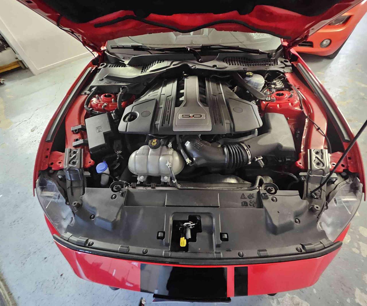 FORD Mustang Fastback 5.0 V8 TiVCT GT 55 ANNIVERSARIO -MANUALE- - 20