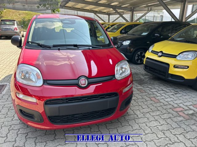 FIAT Panda Rosso pastello