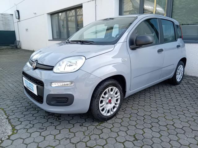 FIAT Panda Grigio Moda pastello