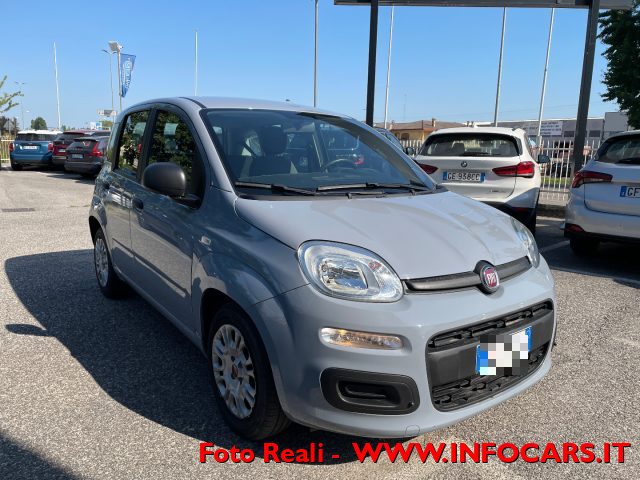 FIAT Panda Grigio pastello