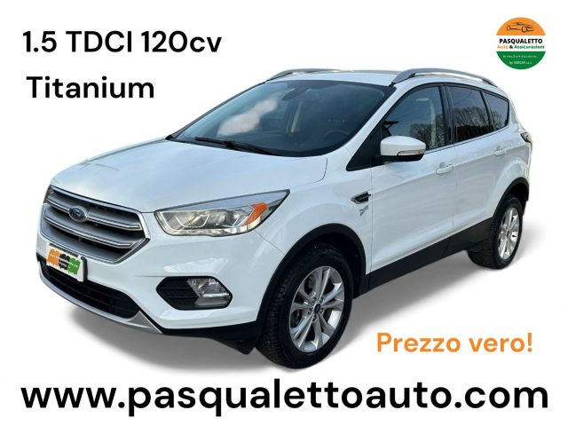 FORD Kuga Bianco pastello