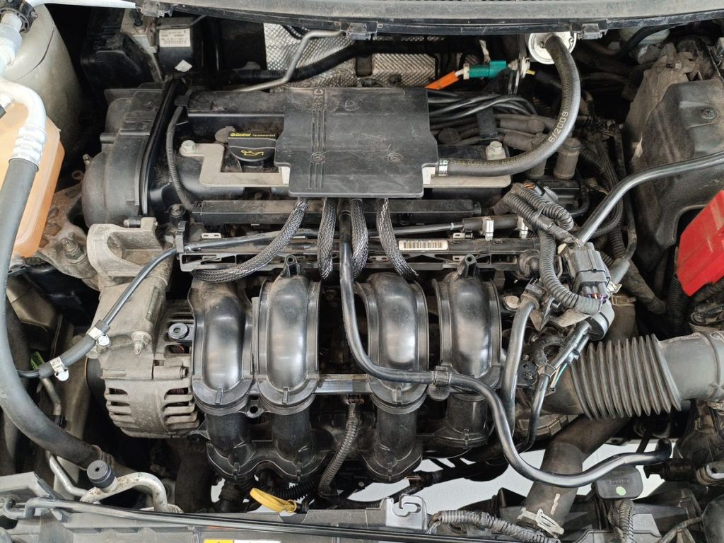 FORD Fiesta 1.4 5 porte Bz.- GPL - 20