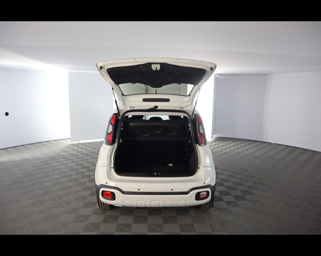 FIAT Pandina Cross 1.0 firefly hybrid s&s 70cv - 19