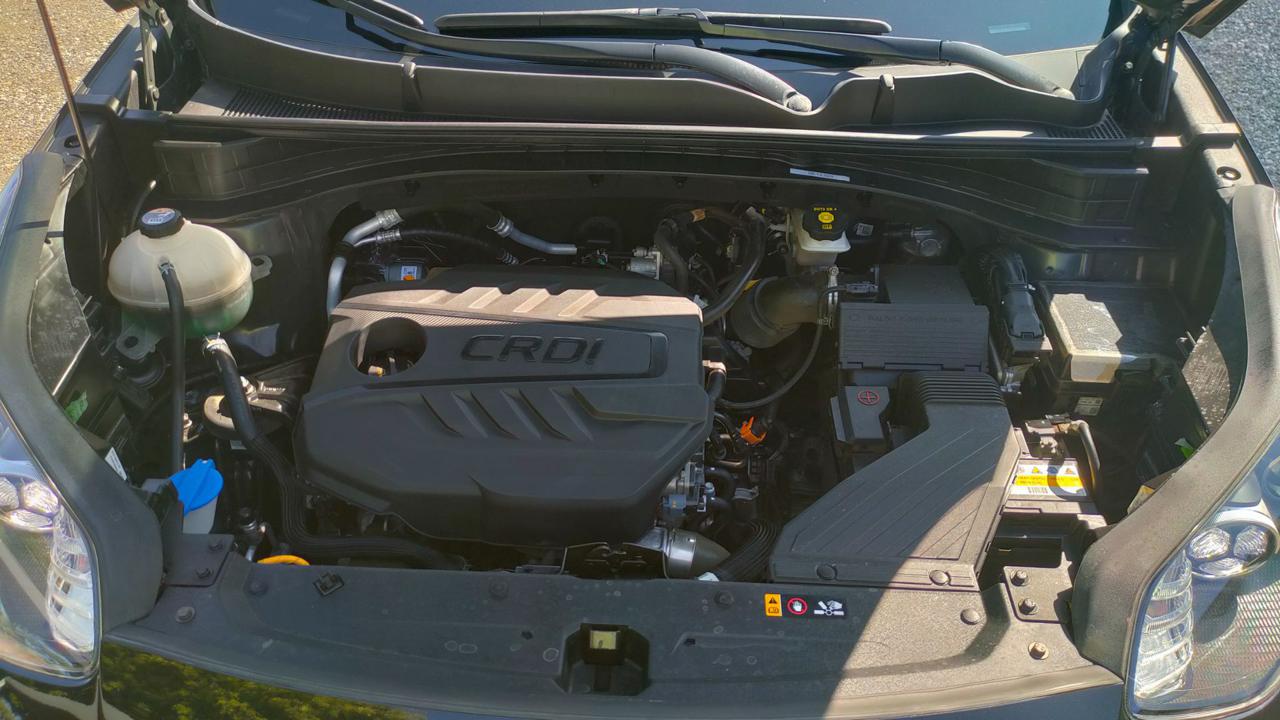 KIA Sportage 1.6 CRDI 136 CV 2WD Mild Hybrid Business Class - 28