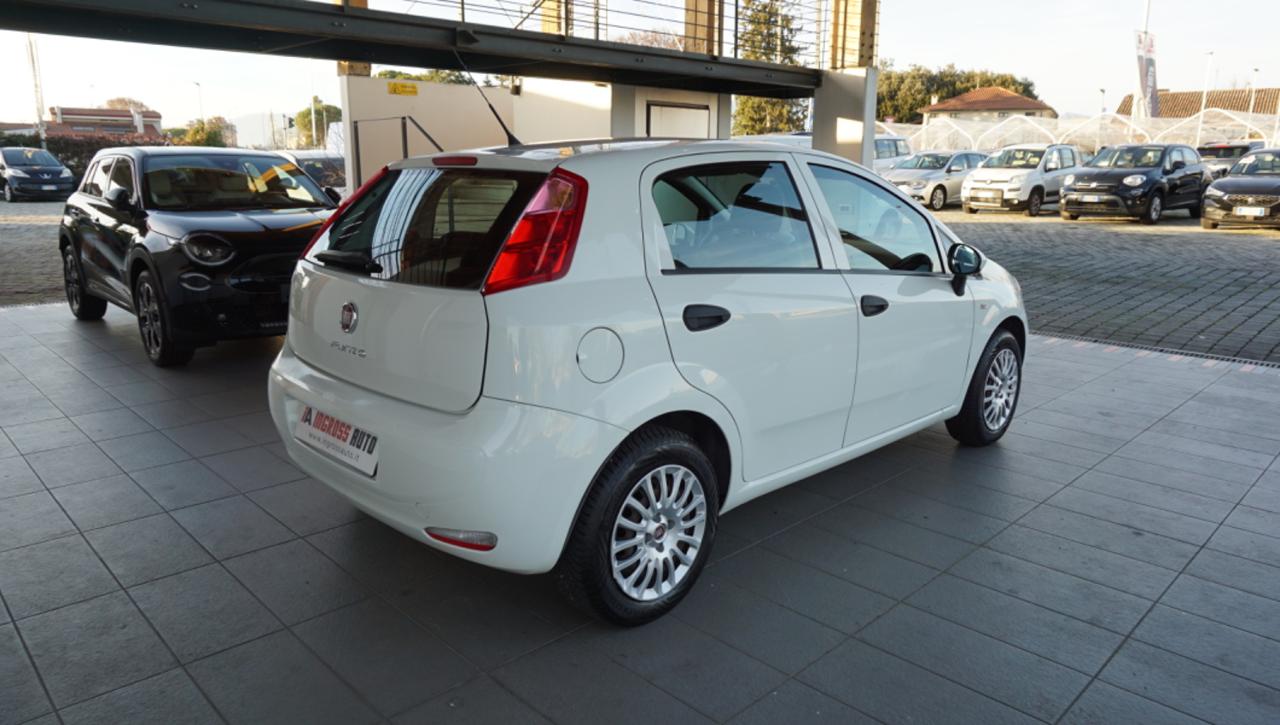 FIAT Punto 1.2 8V 5 porte Young - 5