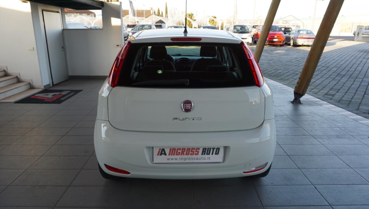 FIAT Punto 1.2 8V 5 porte Young - 4
