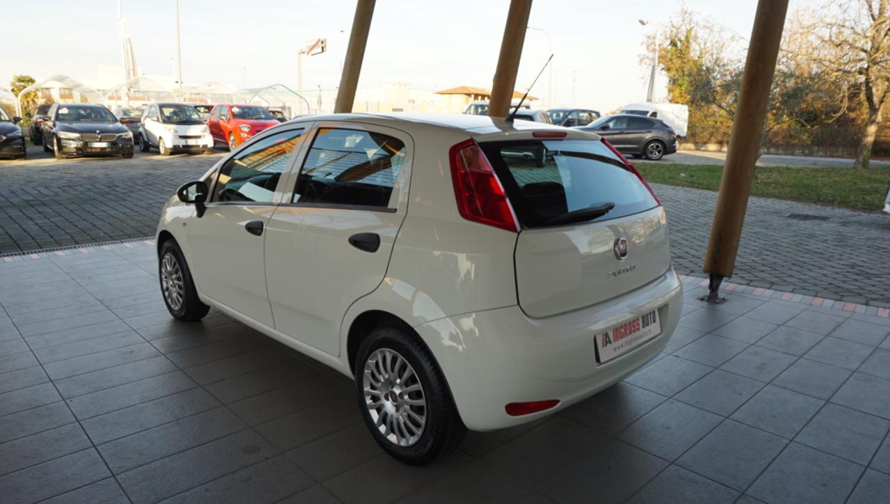 FIAT Punto 1.2 8V 5 porte Young - 3