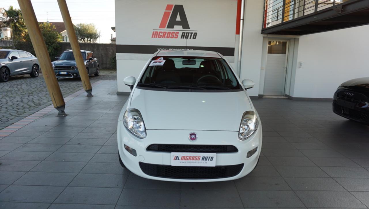 FIAT Punto 1.2 8V 5 porte Young - 8