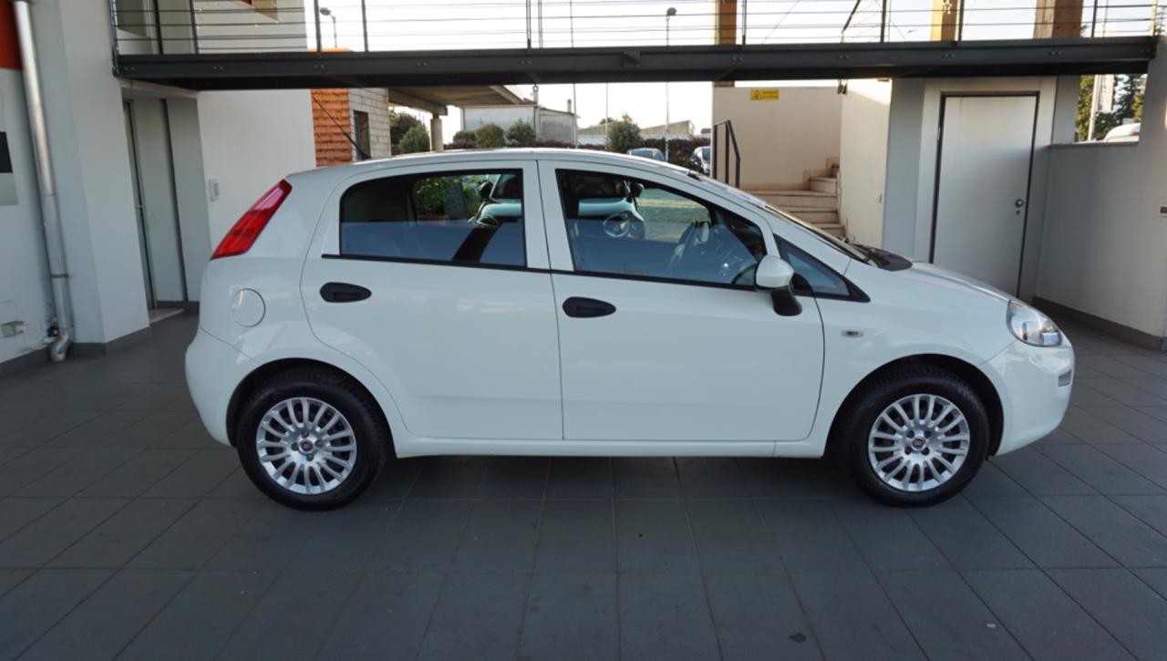 FIAT Punto 1.2 8V 5 porte Young - 6
