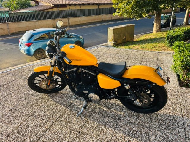 HARLEY-DAVIDSON 883 Iron Antracite pastello