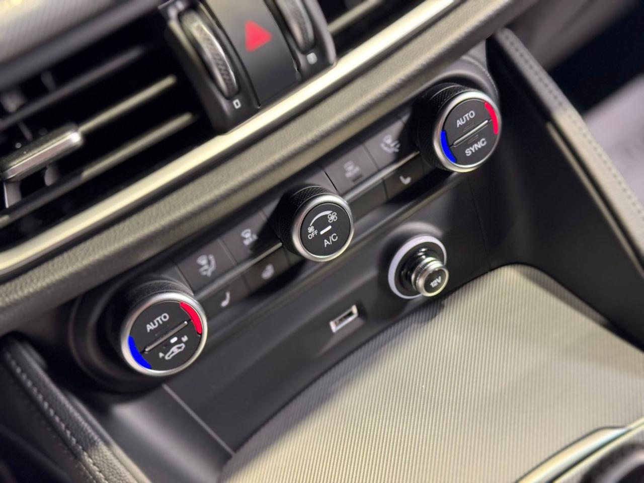 ALFA ROMEO Stelvio 2.2 Turbodiesel 210 CV AT8 Q4 Veloce - 16