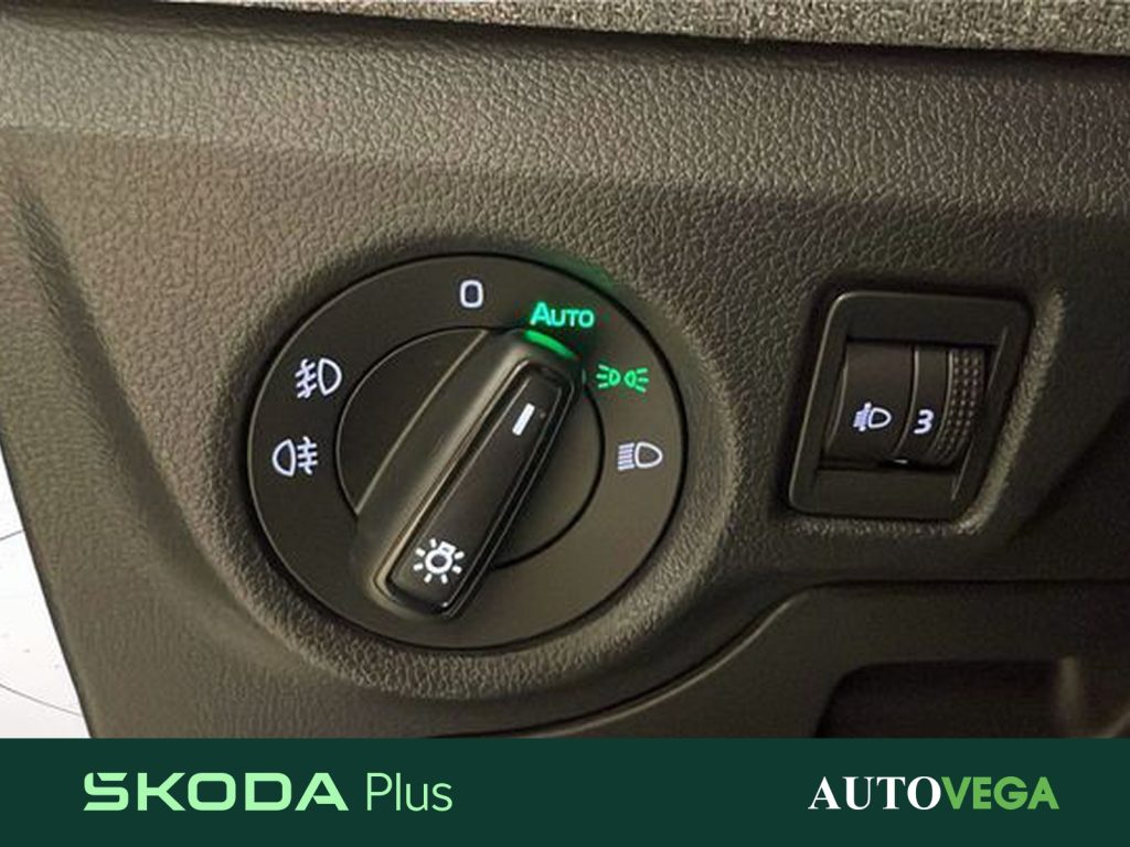 SKODA Kamiq 1.0 tsi black dots 95cv - 15