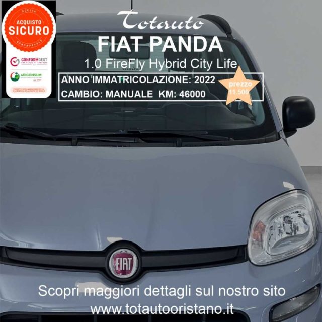 FIAT Panda Grigio pastello