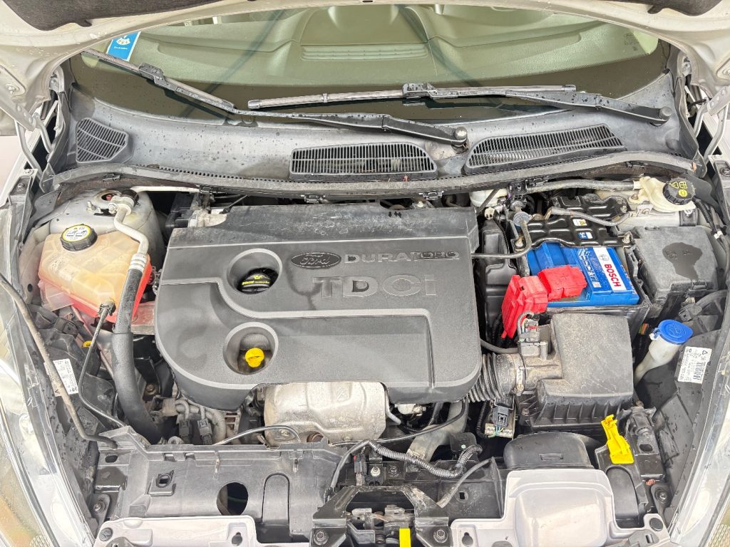 FORD Fiesta 1.4 TDCi 70CV 5 porte Titanium OK NEOPATENTATI - 31