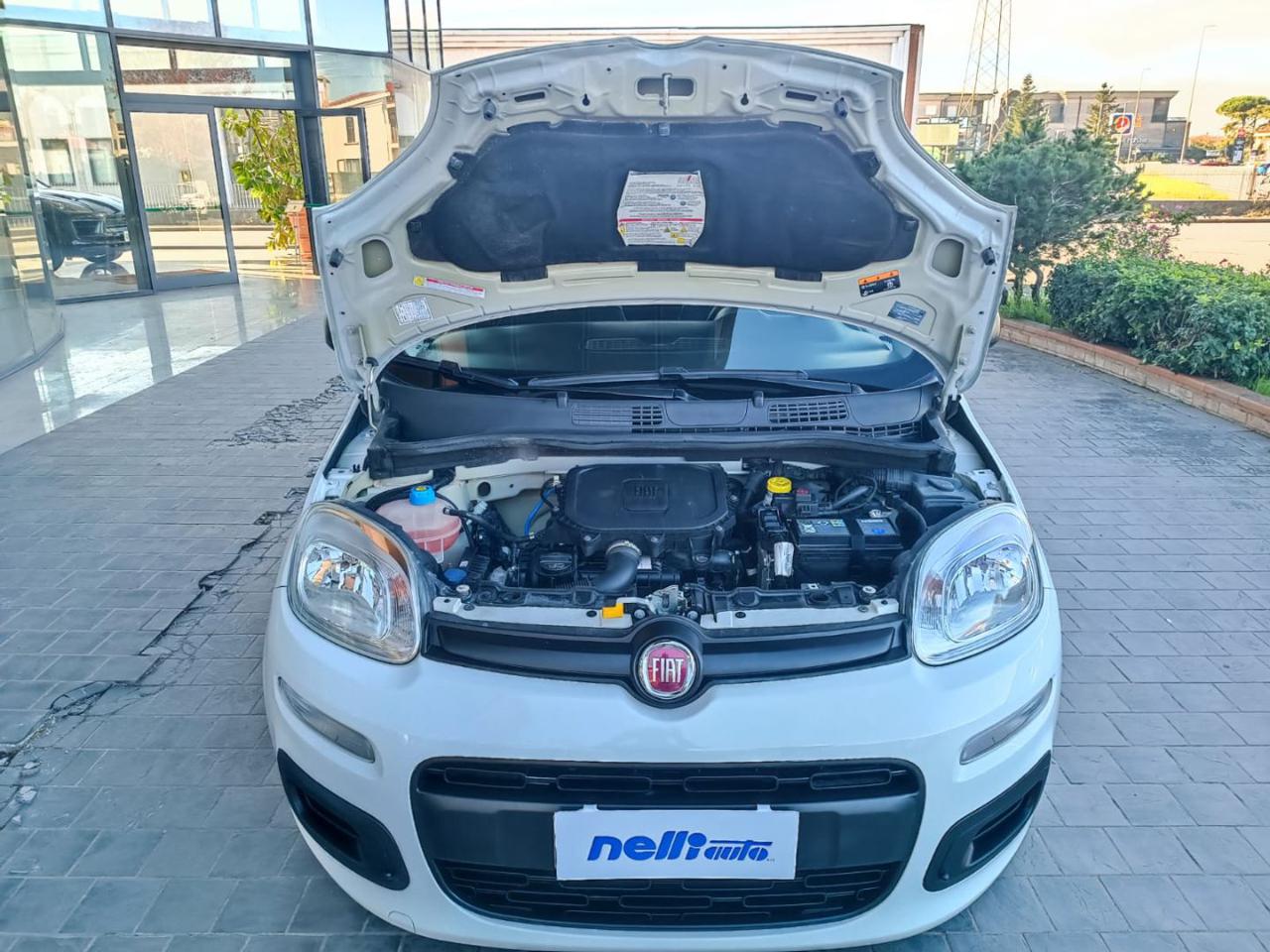 FIAT Panda 1.0 FireFly S&S Hybrid - 21