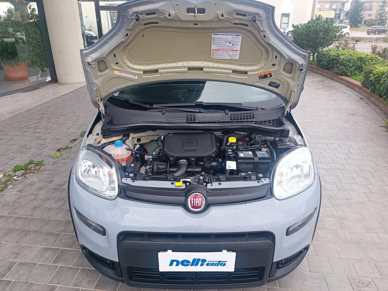 FIAT Panda 1.0 FireFly S&S Hybrid - 16