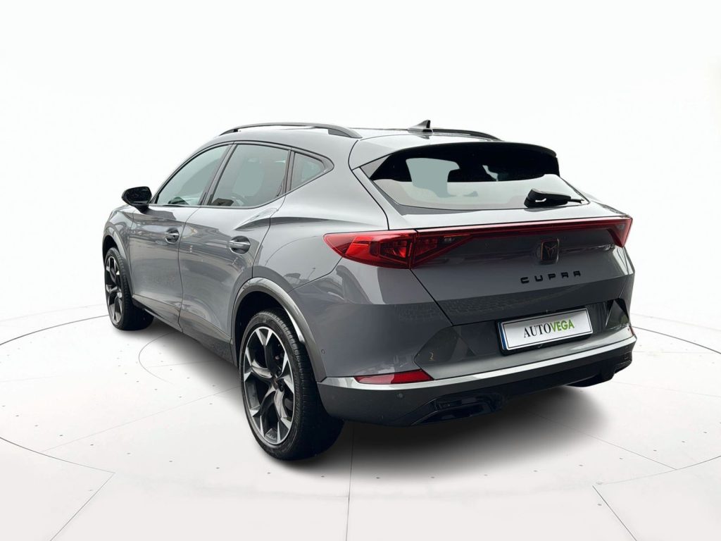 CUPRA Formentor 2.0 tsi 4drive 190cv dsg - 5