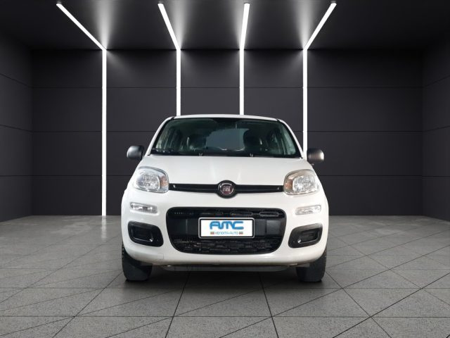 FIAT Panda Bianco pastello