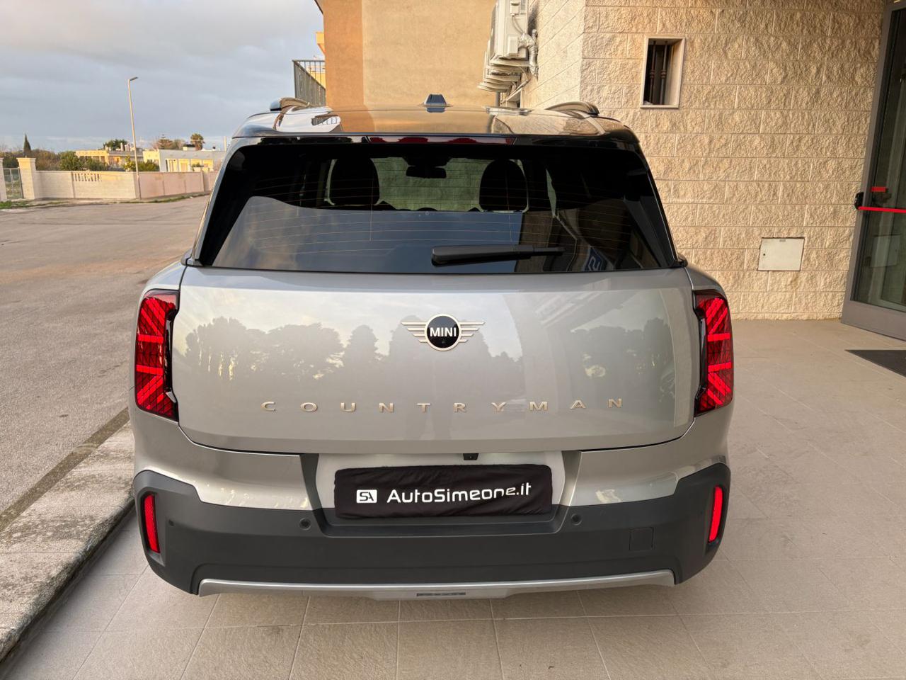 MINI Countryman D Classic Countryman CERCHI DA 19. - 6